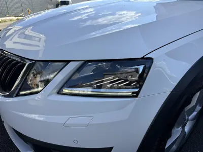 2019 Skoda Octavia - photo 8