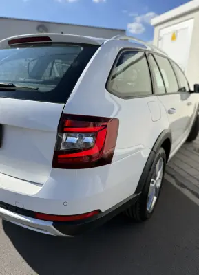 2019 Skoda Octavia - photo 9